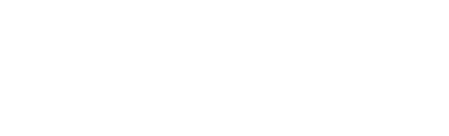 Vionex
